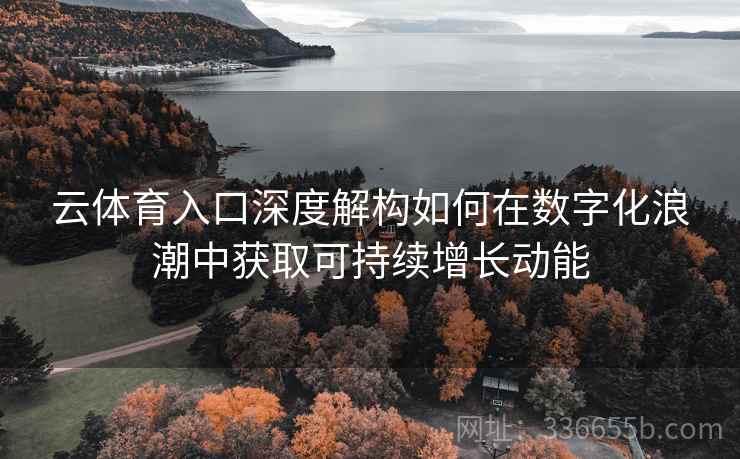 云体育入口深度解构如何在数字化浪潮中获取可持续增长动能