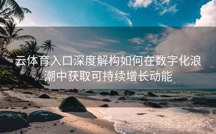 云体育入口深度解构如何在数字化浪潮中获取可持续增长动能